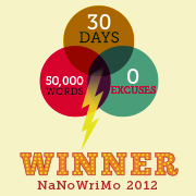 NaNoWriMo Winner